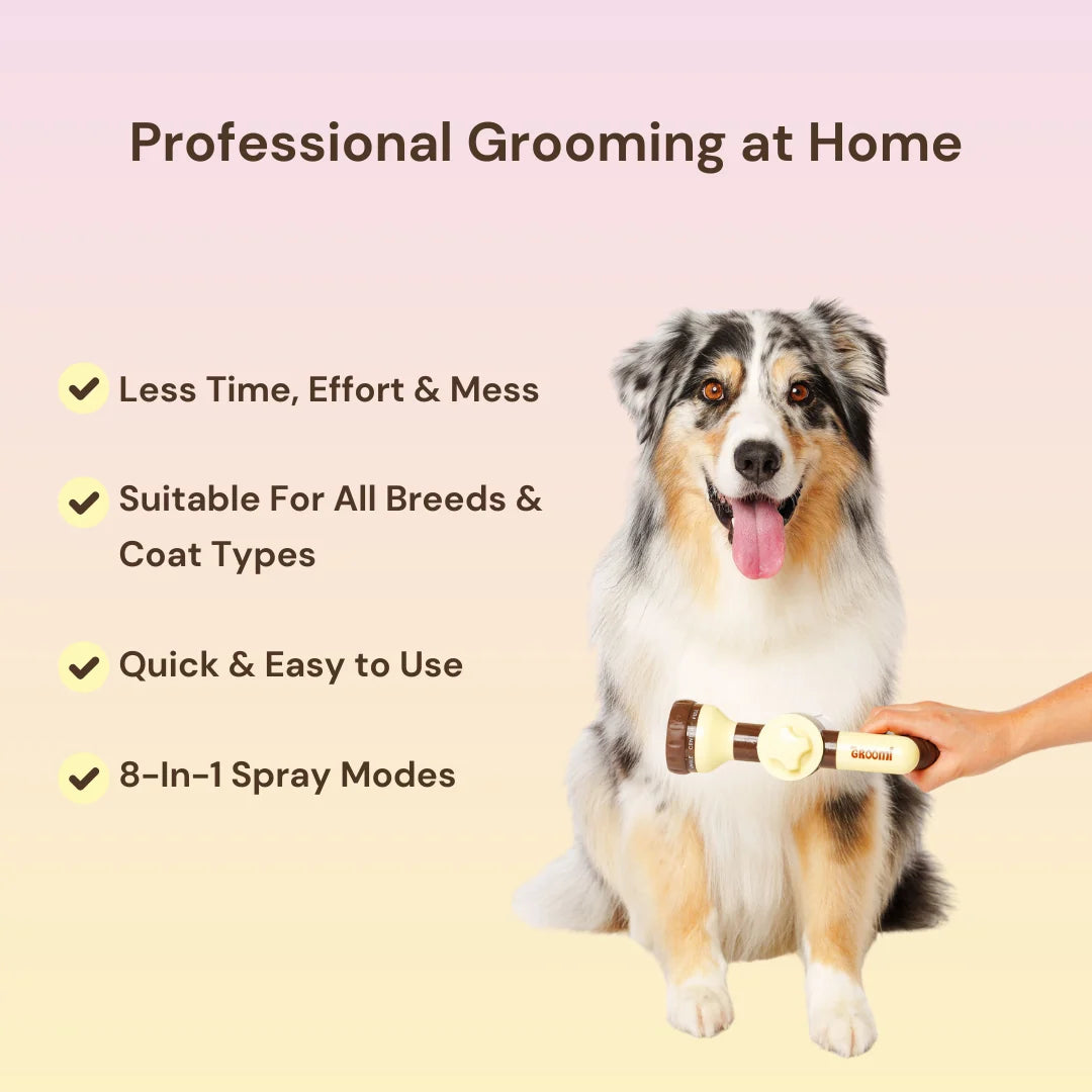 Hydro Hound Dog Wash Kit