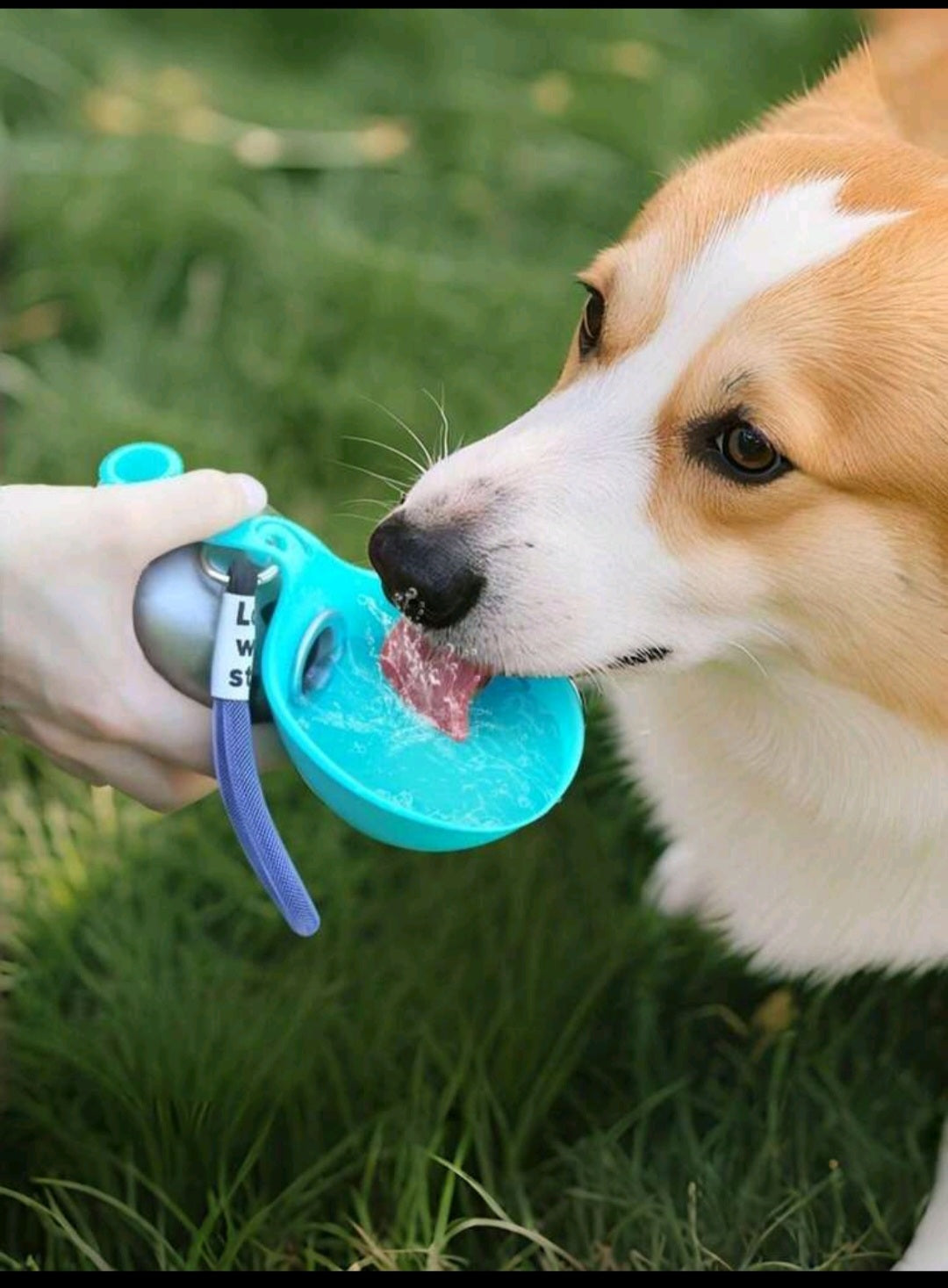 Stainless Steel pet bottle